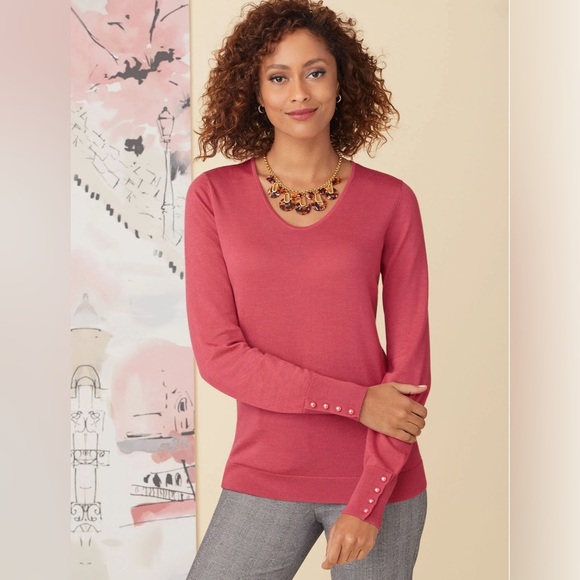 Talbots Petite 100% Pure Soft Merino V-Neck Sweater Size Small Petite - Picture 1 of 10